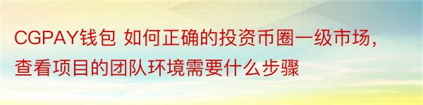 CGPAY钱包 如何正确的投资币圈一级市场，查看项目的团队环境需要什么步骤