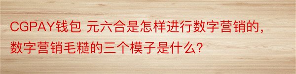 CGPAY钱包 元六合是怎样进行数字营销的，数字营销毛糙的三个模子是什么？