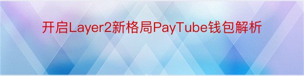 开启Layer2新格局PayTube钱包解析