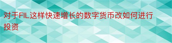 对于FIL这样快速增长的数字货币改如何进行投资