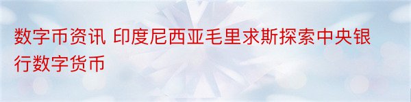 数字币资讯 印度尼西亚毛里求斯探索中央银行数字货币