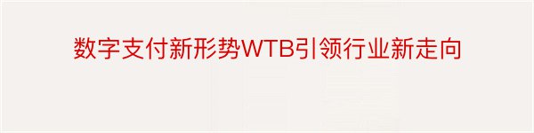 数字支付新形势WTB引领行业新走向