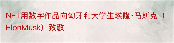 NFT用数字作品向匈牙利大学生埃隆·马斯克（ElonMusk）致敬